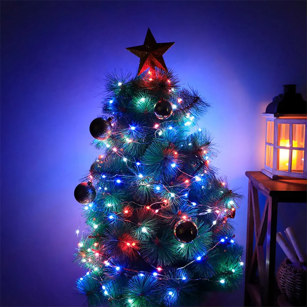 10M 33FT Built-in IC Individual Control USB RGB LED String Light   12 Modes Remote Control for Christmas Home Party