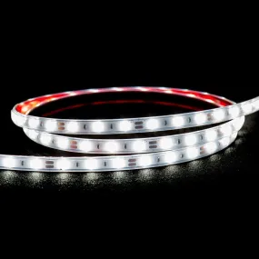 60 LED 4.8w Strip Light IP54 5.5k 5m Roll Havit Lighting - HV9716-IP54-60