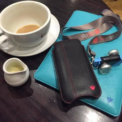 Apple iPhone 13 Pro Max Wallet Case in Black Leather | Screen Polishing Sanitizing Lining.