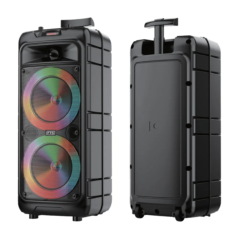 FTS Double Gooi 8''2 Double Speaker [FTS-2013]