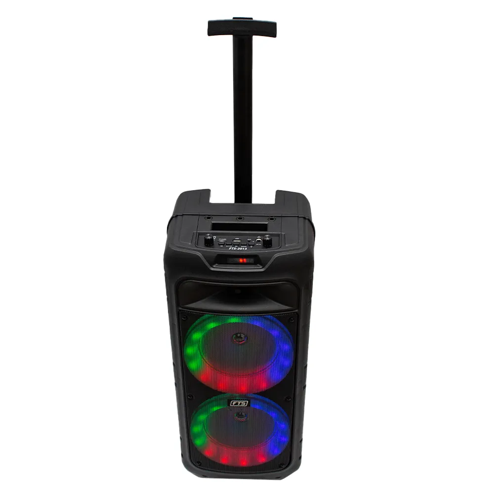 FTS Double Gooi 8''2 Double Speaker [FTS-2013]