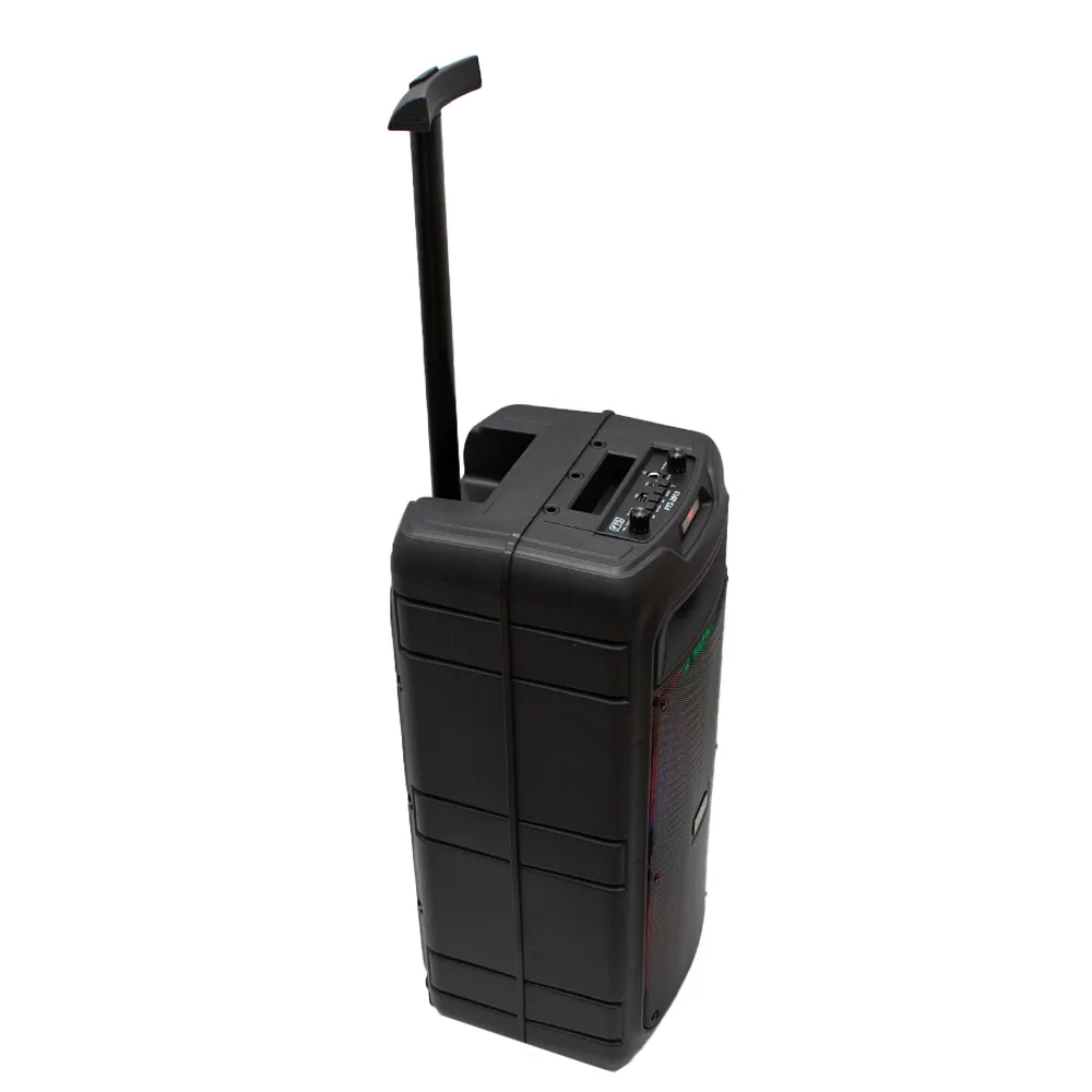 FTS Double Gooi 8''2 Double Speaker [FTS-2013]