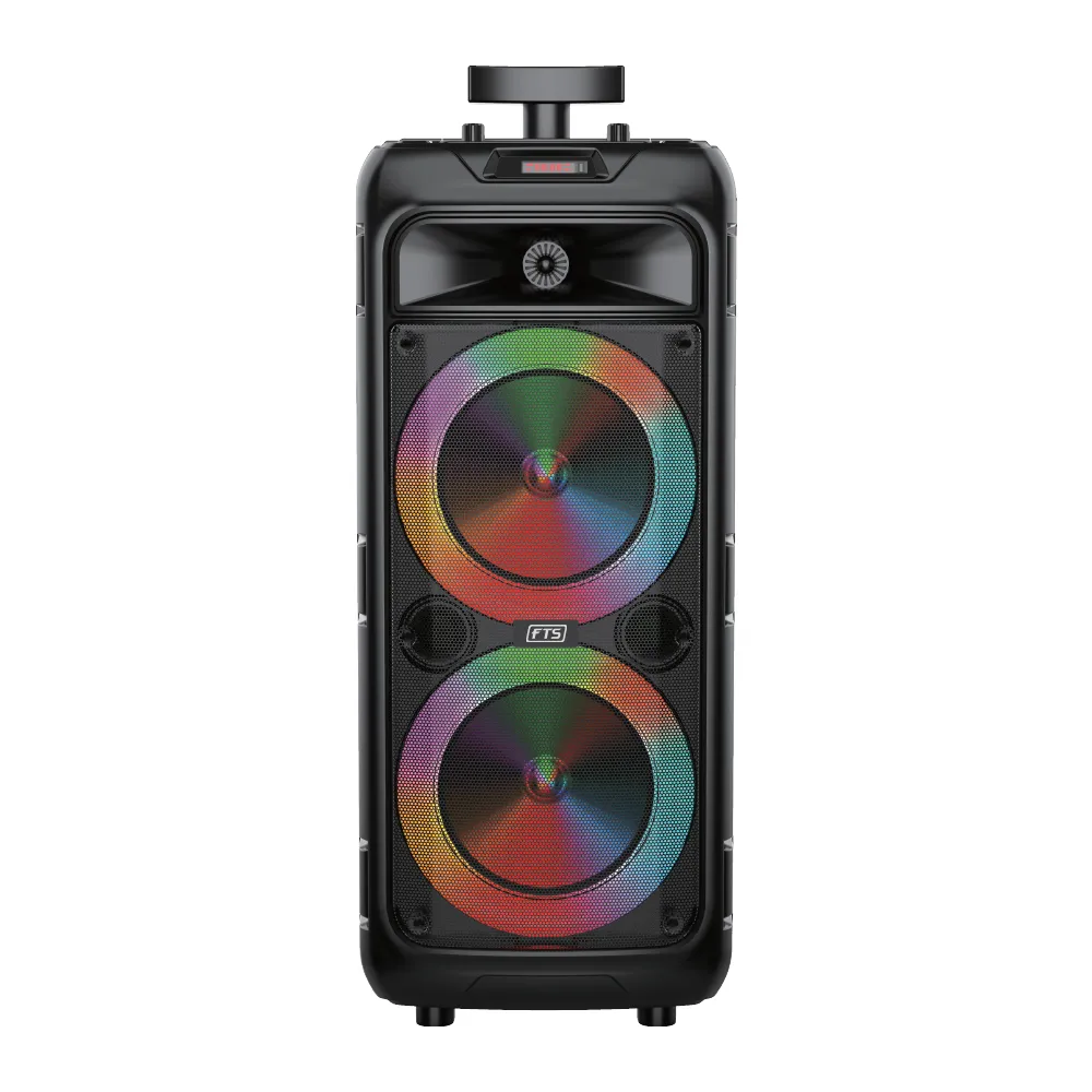 FTS Double Gooi 8''2 Double Speaker [FTS-2013]