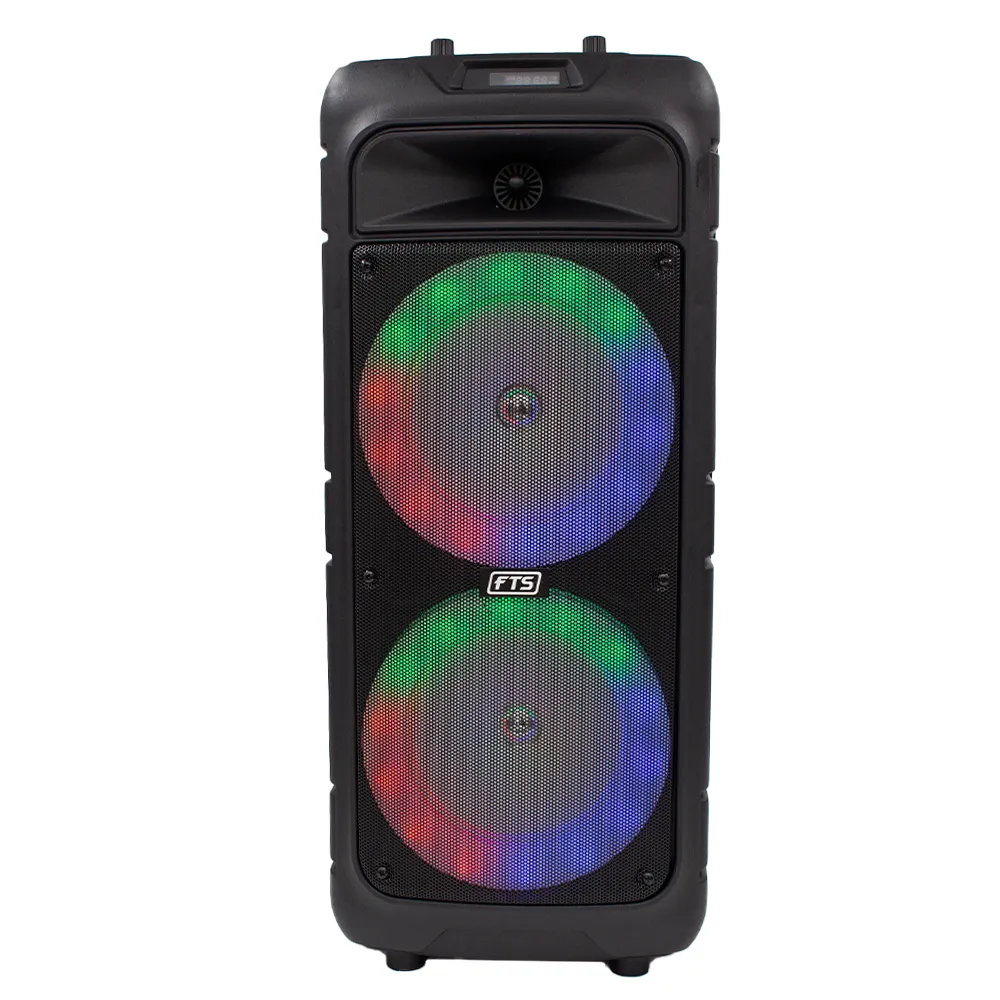 FTS Double Gooi 8''2 Double Speaker [FTS-2013]