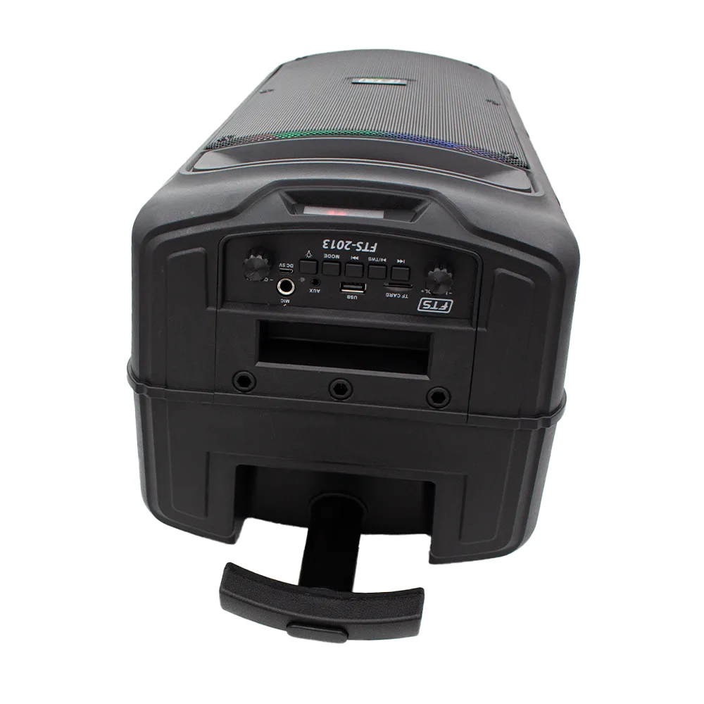 FTS Double Gooi 8''2 Double Speaker [FTS-2013]