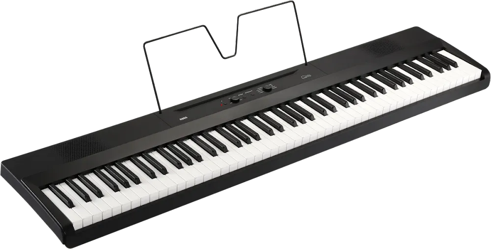Korg Liano 88-key Portable Digital Piano ‚Äì Black