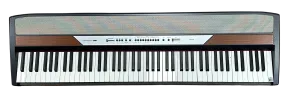 Korg SP-250 Digital Piano - Local Pick Up