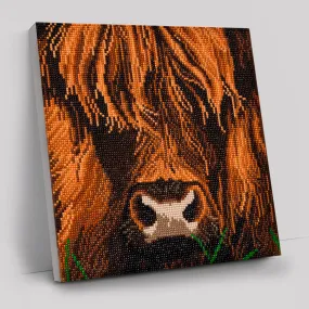"Highland Cow" Crystal Art Kit 30x30cm