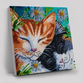 "Sleepy Cats" 30x30cm Crystal Art Kit