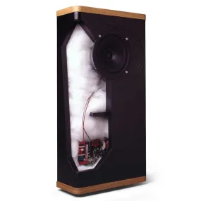 Vandersteen VSM-1 Surround Speakers - Pair